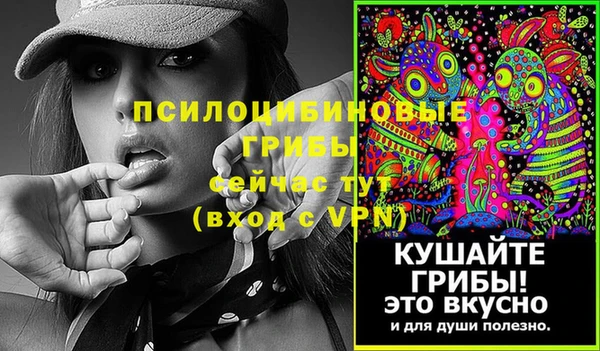 стаф Баксан